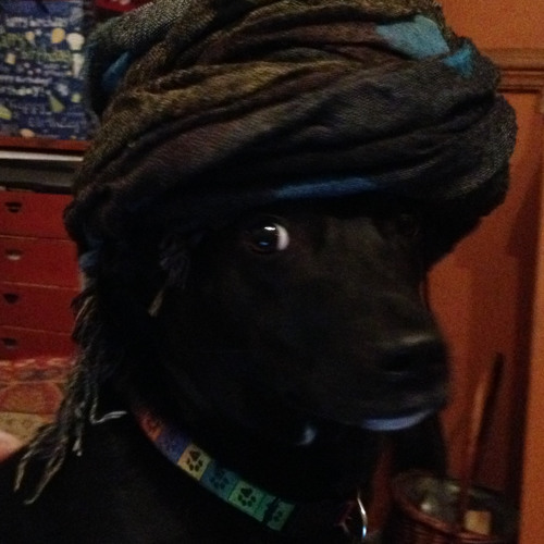 Prostitute Robot Blues