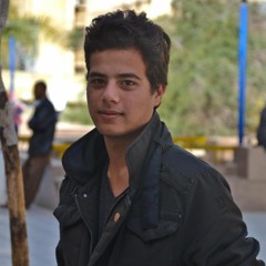 Muhammad Abdelaziz Kamel