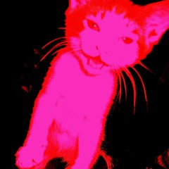 FatCatBeats