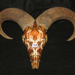 mississippi_boweavil