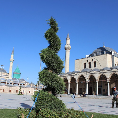 CMC September - Sidi Usama Canon