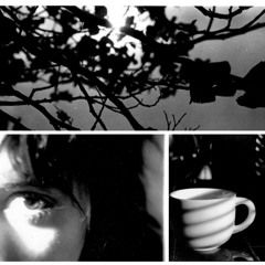 AVE Lady Dragon Smugz