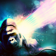 Project Radio Gorilla