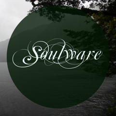 SOULWARE