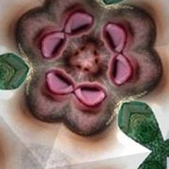 glovedog78