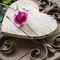 Ola_Nashaat