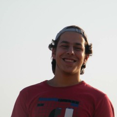 Hussein M. Tarek