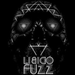 LibidoFuzz