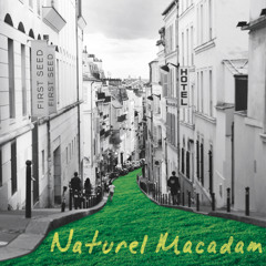 Naturel Macadam