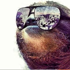 Captain Ryan The Pirate