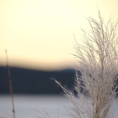 mowe024
