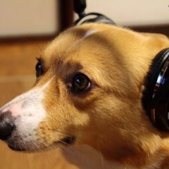 Stream Little Ripple Music Listen To Songs Albums Playlists For Free On Soundcloud
