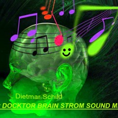 DIETMAR SCHILD BRAINSTROM