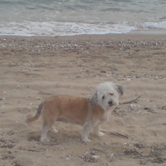 trexton