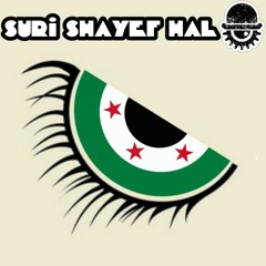 suri shayef halo