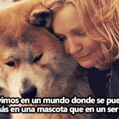 fluffy_23_