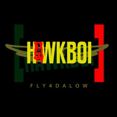 HawkBoiBeats