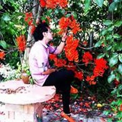 เพลงแต่ง