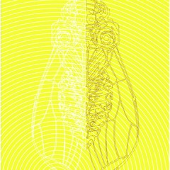 Alejandra Ceh Valencia