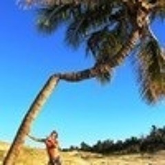 user112445