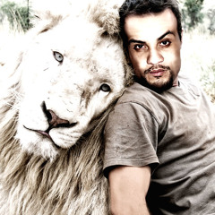 Mohab Khalil