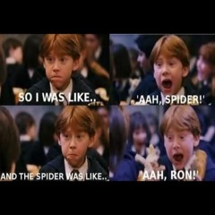 Chester Furkan Efilti