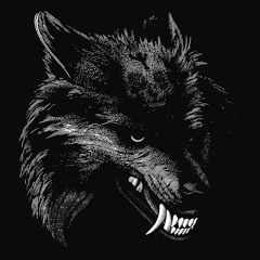 Dmitry Wolf