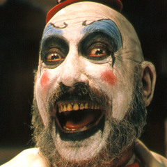 Vitreg
