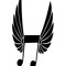 TimFlyingMusic