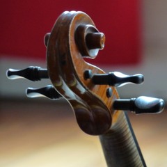 Nico fiddle player