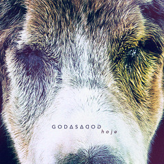 Godasadog