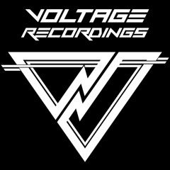 Voltage Recordings