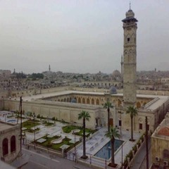 ibrahem m