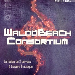 Waloobeach/WB CONSORTIUM