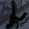 Photon_._Shadow