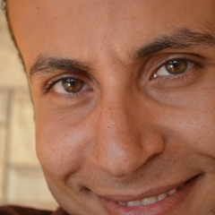 Wael Safwat 1