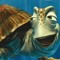 Turtle Surf