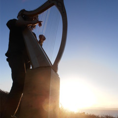 Andrea Seki-Elfic Circle