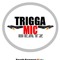 Triggamic Beatz