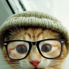 Drhipstercat