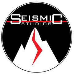 Seismic Studios FL