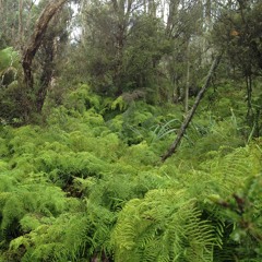 Bazz Hatfield/A Winterton