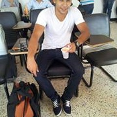 Mohamed M. Sherif