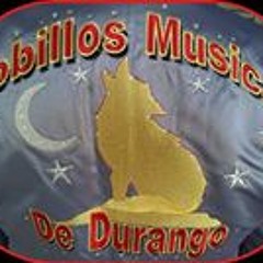 Lobillos M De Durango