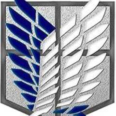 Lucas Arriagada Sellhorn