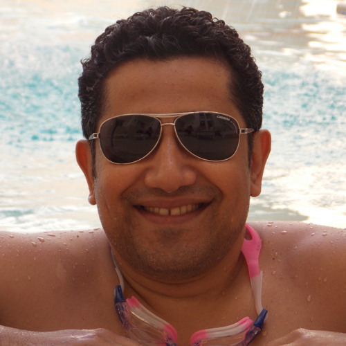 هايدي منتصر