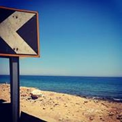 Shereinaa Mohamed Ali