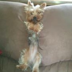 Chrissy Rothweiler Hudson