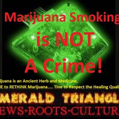 Emerald Triangle News