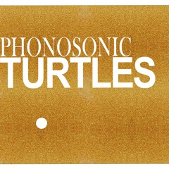 PhonosonicTurtles